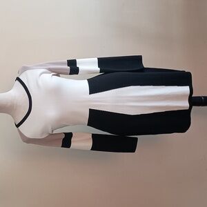 Calvin Klein Rayon Knitted Dress Long Sleeve Color Block NWOT
